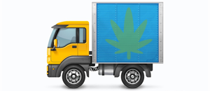 Доставка с помощью автотранспортных компаний