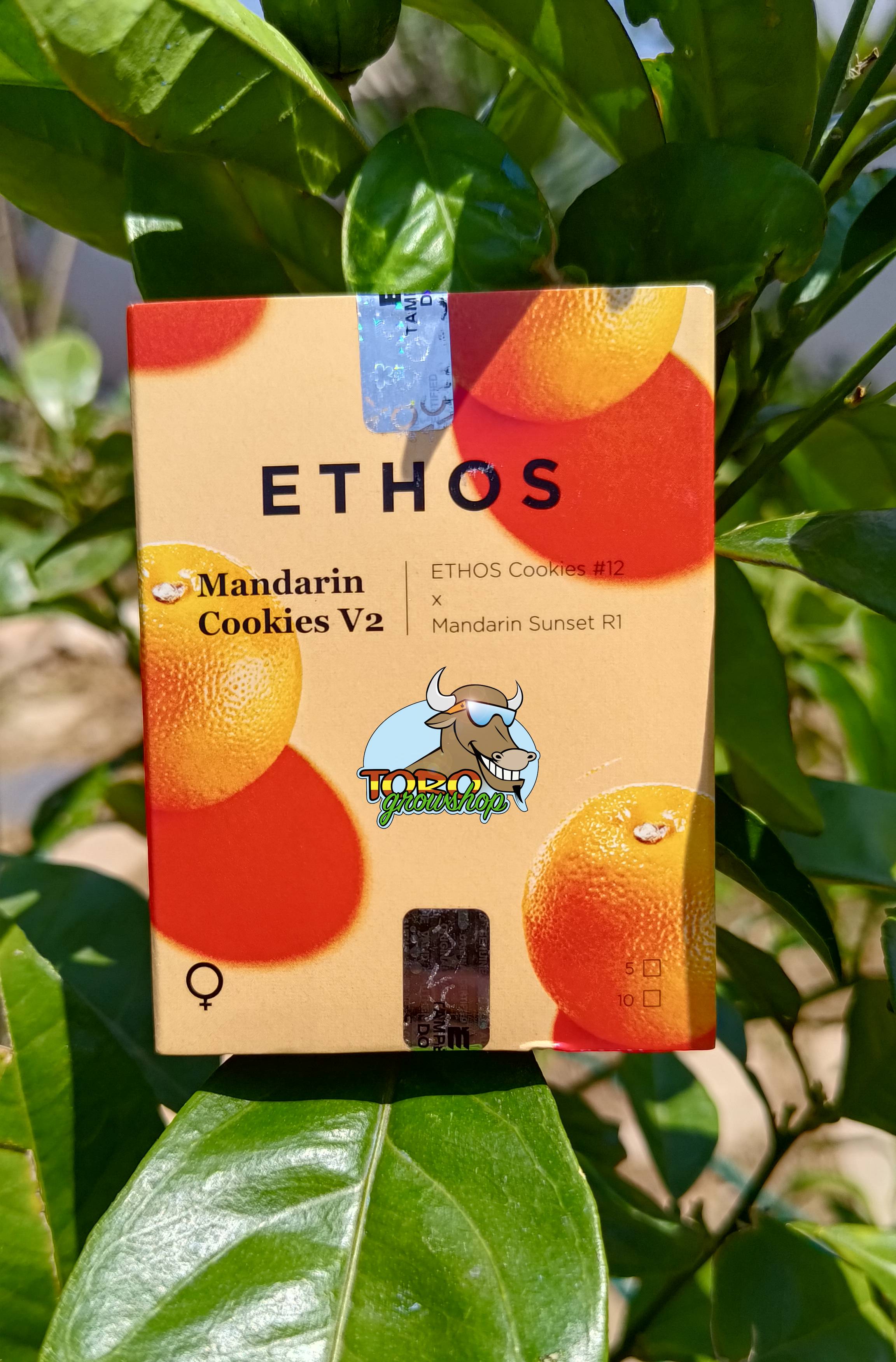 Купить оригинальные сортовые семена каннабиса ETHOS Genetics в Toro Growshop